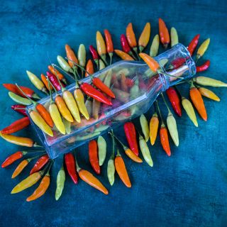 Tabasco Peppers around vintage jar on blue background.