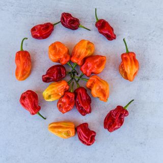 Tobago Seasoning Peppers in circular arrangement on light colored background.