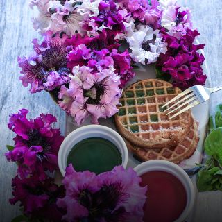Syrup made from Superbissima Cerny's Triumph Mix Petunias with waffles and petunias.