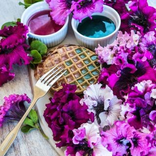 Syrup made from Superbissima Cerny's Triumph Mix Petunias with waffles and petunias.