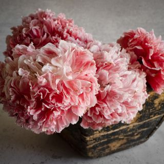 Frosted Salmon Poppy heads in wooden bowl.