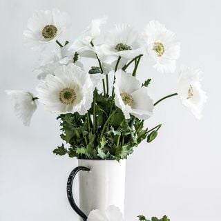Sissinghurst White Poppy bunch in coffee mug.