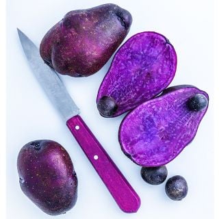 Close-up of Adirondack Blue Micro Tuber Potatoes next to full-sized tubers whole and sliced on a white background.
