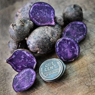 Adirondack Blue Micro Tuber Potatoes whole and sliced next to pennies on a wood background..