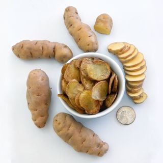 An overhead view of sliced and whole Ozette Fingerling Potatoes surrounding a bowl of potato chips.