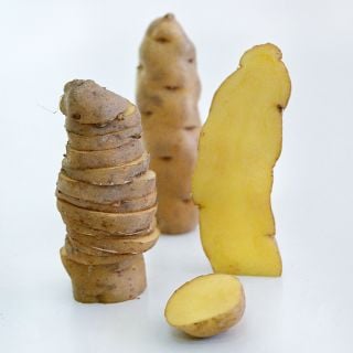 Sliced and whole Ozette Fingerling Potato tubers standing upright on a light background. 