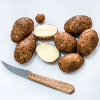 Overhead view of Sliced and whole Russet Burbank Potatoes grown from MIcro Tubers with a knife.