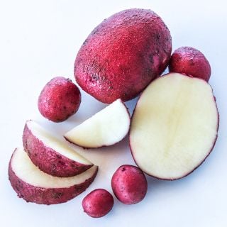 Cut and whole Sangre Potatoes grown from Micro Tubers with Micro Tubers on a white background.