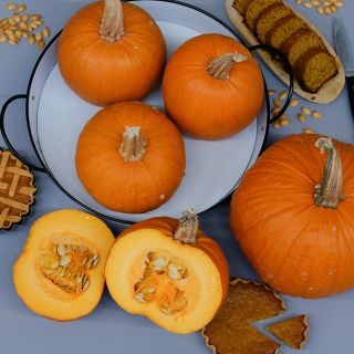 New England Sugar Pie Pumpkins with pies, pumpkin bread and roasted seeds.