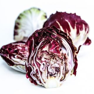 Several cut and whole Chioggia 506 Radicchio heads on a white background.