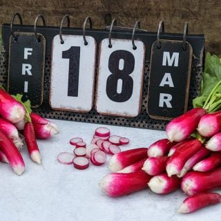 De 18 Jours Radishes with a calendar showing March 18 to signify only 18 days to maturity.