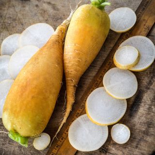 A couple of whole Lutea Carrot Radishes surrounded by slices on a wooden background.