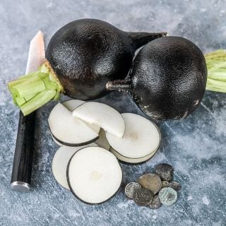 Whole and cut Round Black Spanish Radishes on gray background with a black handled knife.