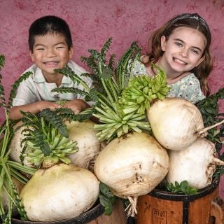 A boy and a girl smiling with a huge pile of Sakurajima Giant Radishes.