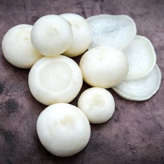 Cut and cleaned White Hailstone Radishes on brown background.