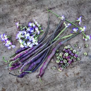 Red Rat's Tail Radishes with cut radishes and blooms on a wooden background.