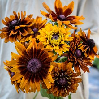 A man in a tunic holding a bouquet of Cherokee Sunset Rudbeckia.