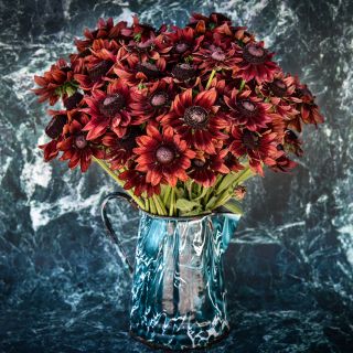 Cherry Brandy Rudbeckia flowers in a mottled pitcher that matched the marbled background.