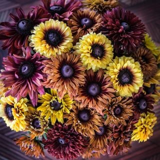 Overhead view of an arrangement of Sahara Rudbeckia.