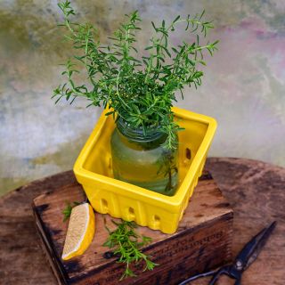 Overhead view of Lemon Savory in a mason jar inside a yellow ceramic berry dish on a wooden box.