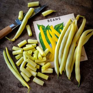 Cut and whole Golden Butterwax Beans with a knife and a vintage yellow bean seed packet on wood.