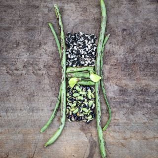 Thai Soldier Long Beans with piles of shelled beans and  blooms arranged artistically on a wooden background.