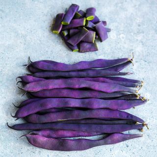 A stack of whole Purple Podded Pole Beans with cut beans on a stone background.