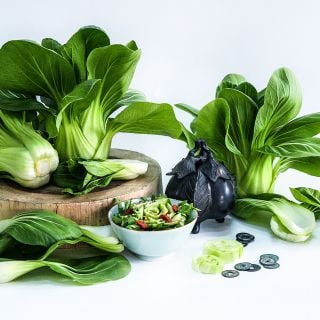 Fresh heads of Suzhou Baby Bok Choy with a bok choy salad on a white background.