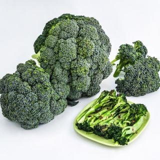 Rasmus Broccoli heads with a plate of cooked broccoli on a white background.