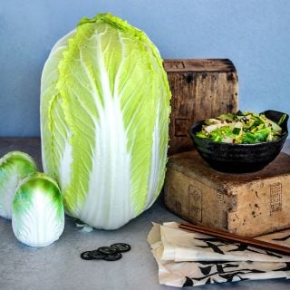 A large head of Kyoto #3 Chinese Cabbage surrounded by Japanese props with a stir fry recipe.