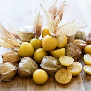 Cut and whole Mary's Niagara Ground Cherry fruits arranged on wooden cutting board.  