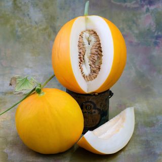 A pair of cut and whole Kazakh Melons on a light pastel background.