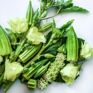 Eagle Pass Okra arranged with leaves and blooms on white background.