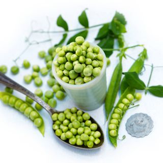 Charmette Petit Pois Peas in a dish surrounded by a spoonful of peas and pods on white.