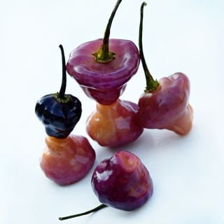 A close-up macro view of stacked Purple Perfume (Cheiro Roxa) Peppers on a white background.