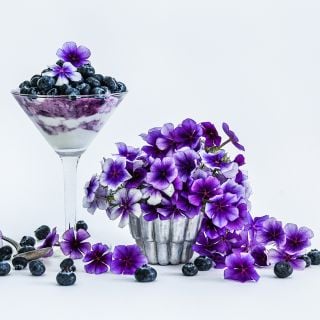 Blueberry Swirl Phlox with yogurt and blueberries in a fluted glass surrounded by flowers and blueberries on a white background.
