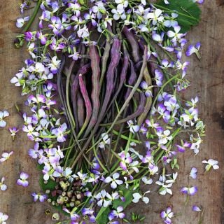 Red Rat's Tail Radishes surrounded by flowers on wooden background.