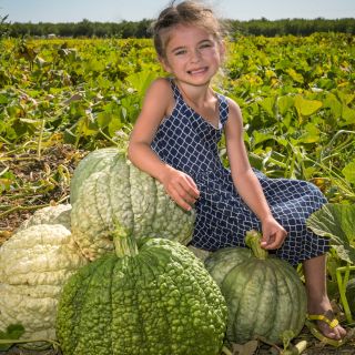A smiling girl sits on top of a pile of freshly harvested Crespo Winter Squash.