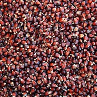 An image of Chires Baby Corn kernels.