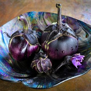 Nagaoka Kinchaku Eggplant in decorative bowl with bloom.