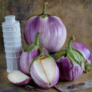 Rosa Bianca Eggplant with Leaning Tower mini prop.