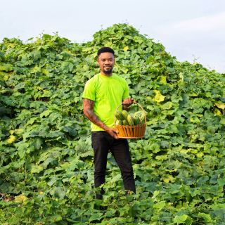 Baker Creek seed grower Solomon Amuzu a basketful of Krobonko Luffa Gourds in gourd vines.