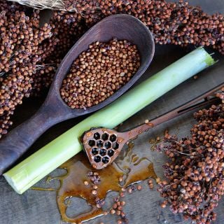 A close-up of Honey Drip Sorghum seeds and cane with honey on a wood background.