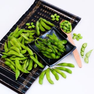 Steamed Chiba Green Soybeans on a plate surrounded by raw and shelled beans on a white background.