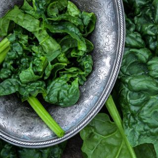 A close-up of Giant Noble Spinach leaves in a silver bowl surrounded by leaves.