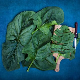 Huge Merlo Nero Spinach leaves with a cut leaf on wood board on a blue background.