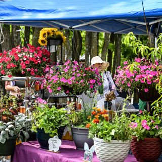 A colorful plant vendor booth at the Baker Creek Spring Planting Festival.