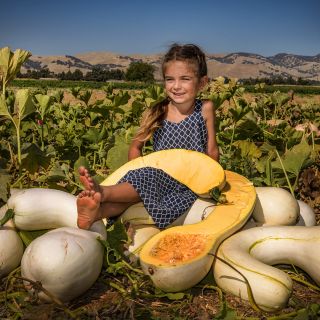 A smiling little girl sitting on a pile of Illinois Squash in the Baker Creek trial squash field in California.