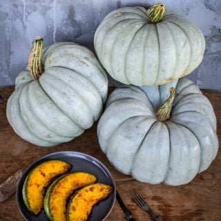 Jarrahdale Pumpkin Winter Squash with roasted slices on plate.