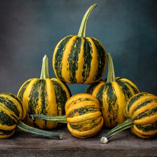 A stack of Kamo Kamo Squash at the winter squash stage of maturity on wood against a blue background.